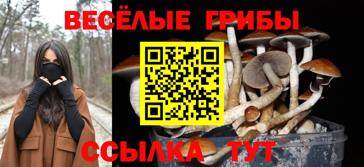 Галлюциногенные грибы мицелий Протвино